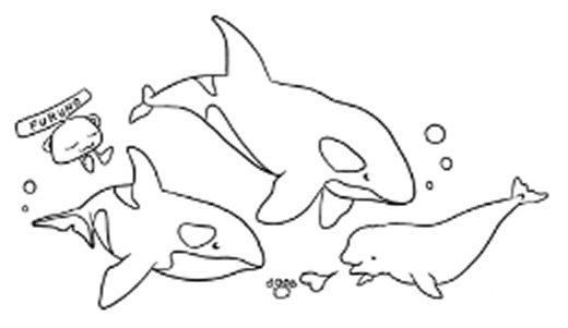Dolphins