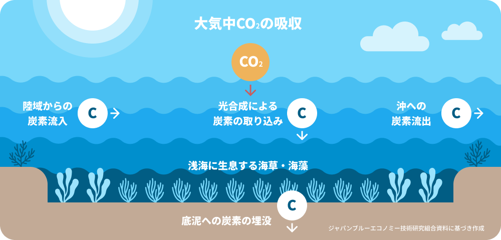大気中のCO2の吸収