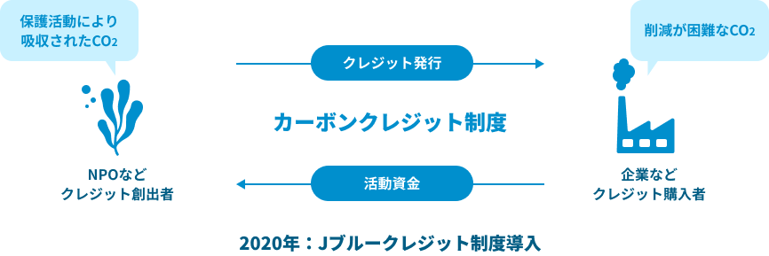 カーボンクレジット制度