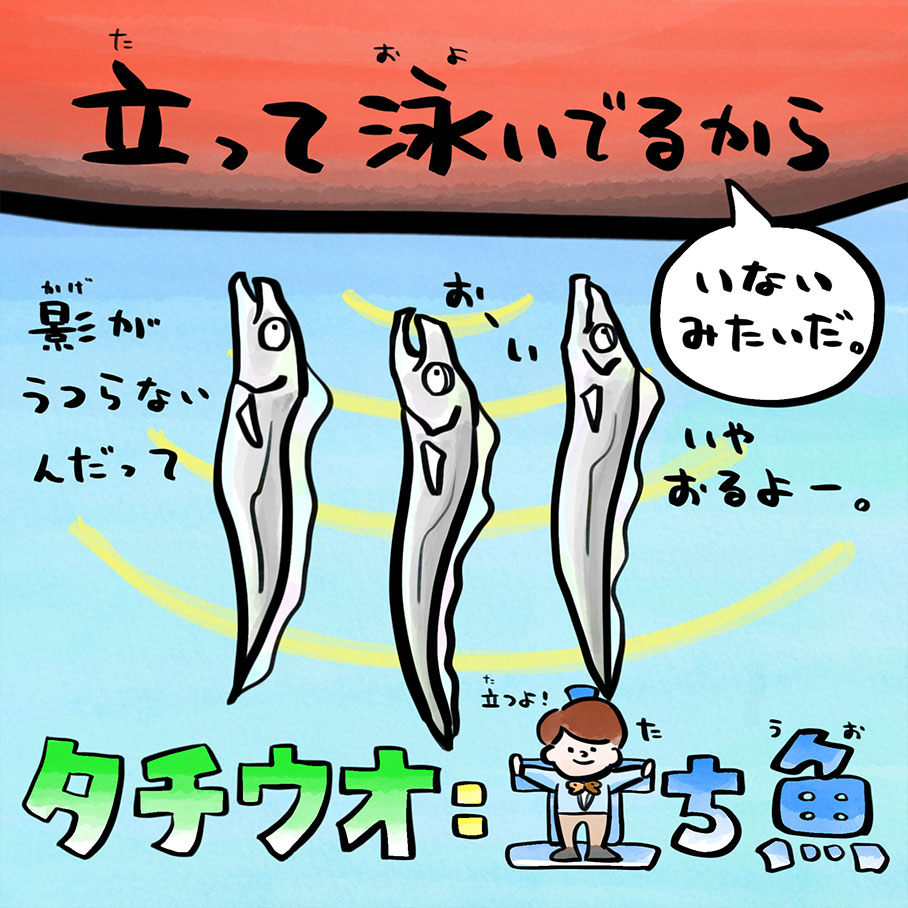 立って泳ぐからタチウオ！