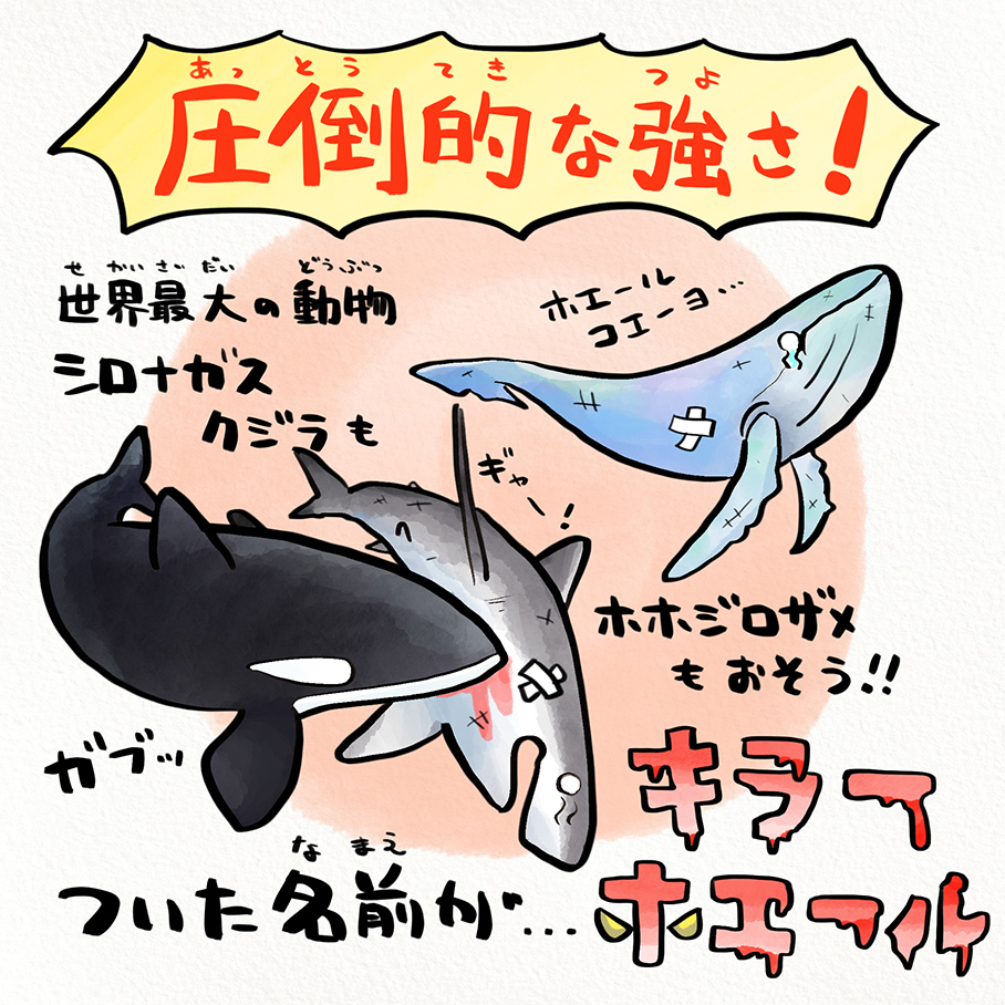 別名「キラーホエール」