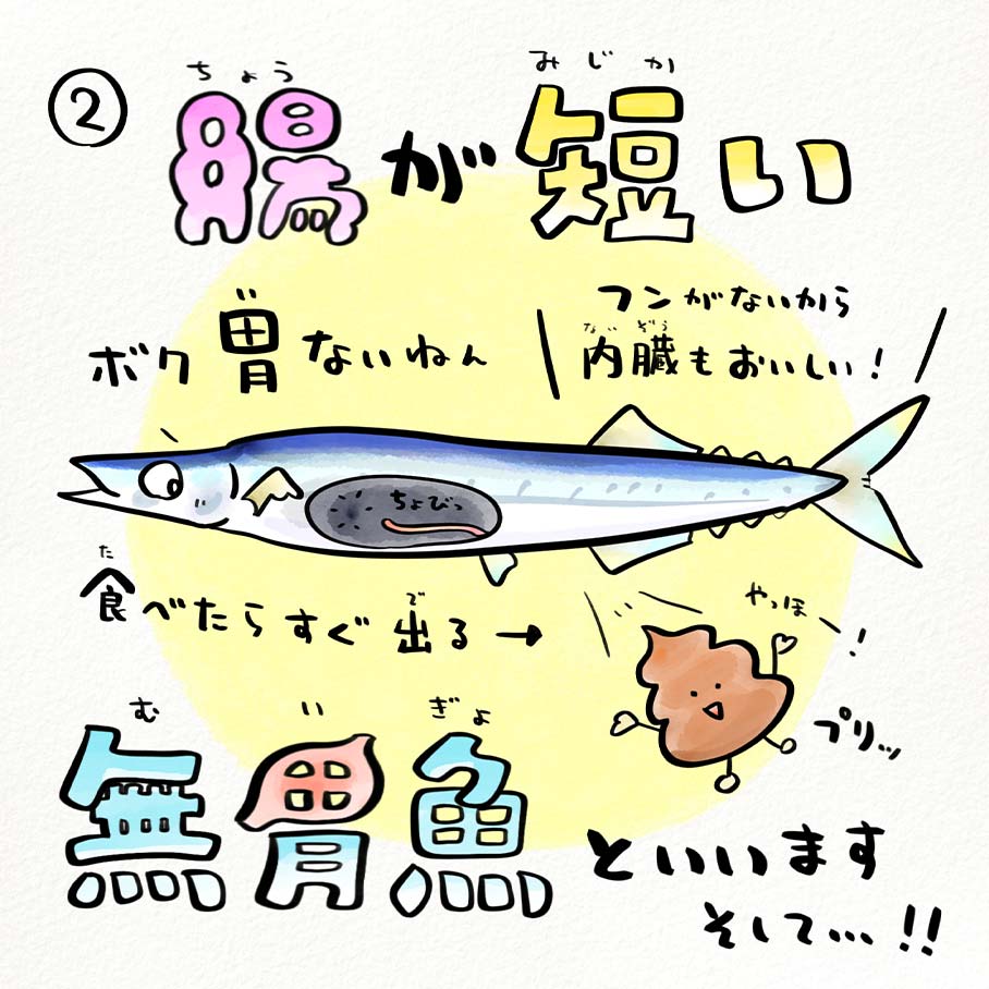 その2.腸が短い！