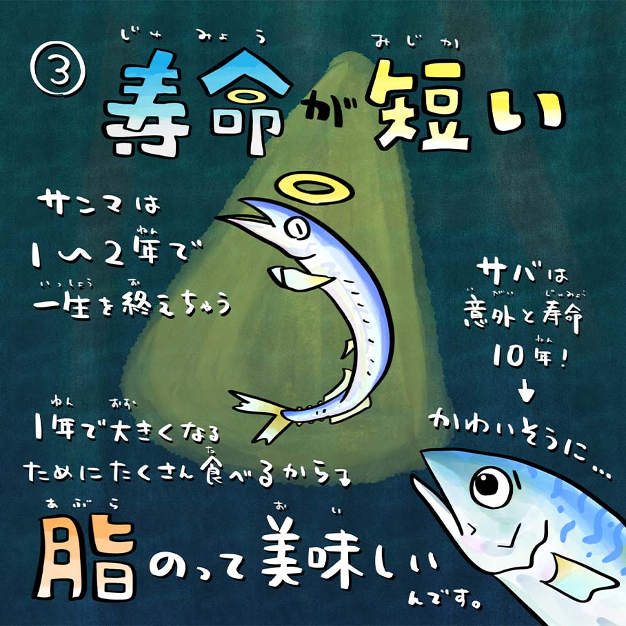 その3.寿命が短い！