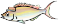 魚のアイコン