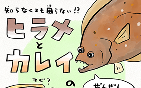 vol.8 ヒラメとカレイの見分け方は向きだけじゃない！