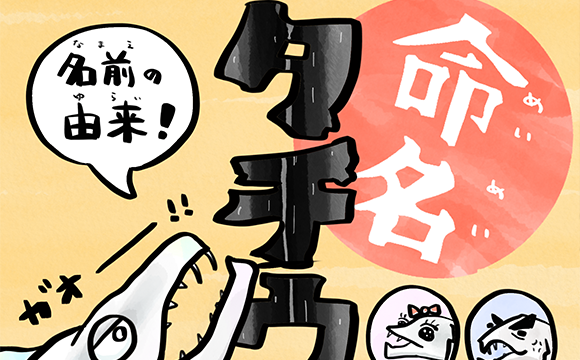 vol.9 タチウオは昔「ユウレイウオ」だった！？