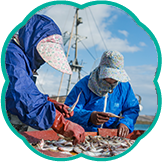 全国漁港めぐり市