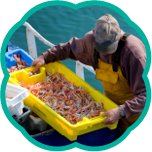 全国漁港めぐり市