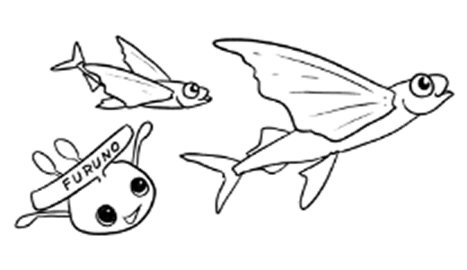 トビウオ